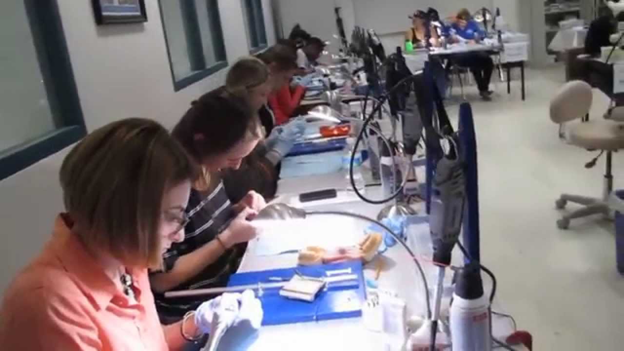FAU "Introduction to Dentistry and Lab" YouTube