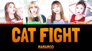 Watch Mamamoo Cat Fight video