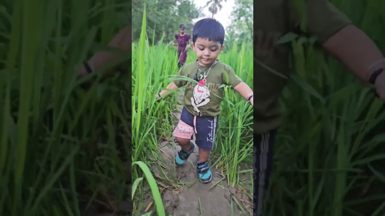 Lion walks alone… but his roar is enough. 🦁🔥