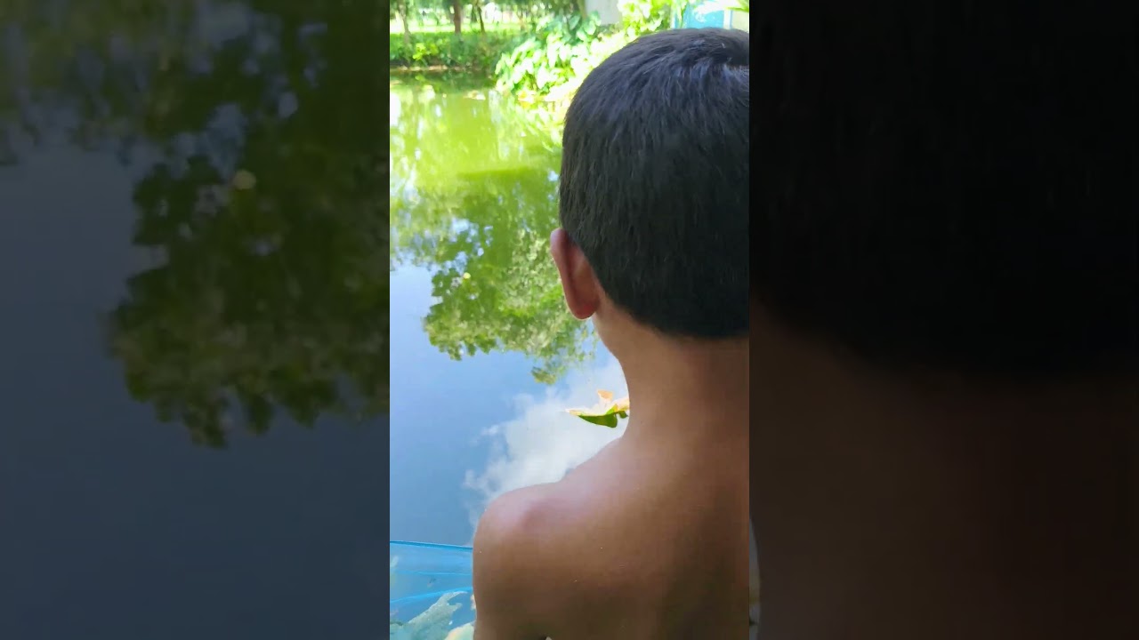 বসি দিয়ে মাছ ধরতেছে #facts