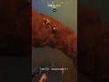 #cellbit em #Twitch | aparece o chutullu #gameplay #clips #fy