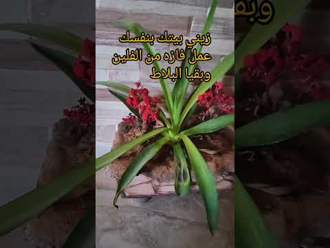 زيني بيتك بنفسك عمل فازه من بقايا البلاط الفلين مشروع مربح بدون تكاليف