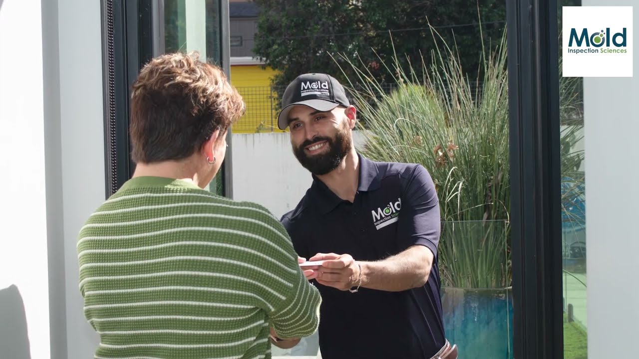 How can I tell if mold has been fully removed?