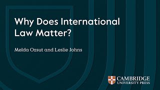 Why Does International Law Matter? Leslie Johns and Melda Ozsut