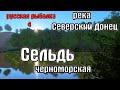 Русская рыбалка 4(рр4/rf4) - река Северский донец. Сельдь черноморская.