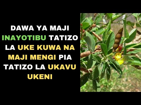 Video: Lily Nyeupe Ya Maji