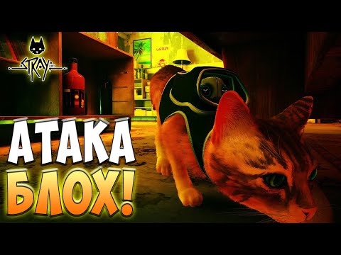 Догонялки с блохами! - Stray #3
