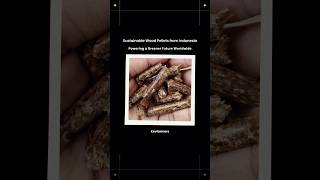 Discover Premium Indonesian Wood Pellets Your Sustainable Energy Solution