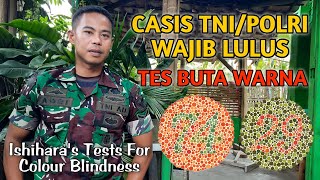 Tes Buta Warna Daftar TNI/POLRI || Ishihara's Tests For Colour Blindness
