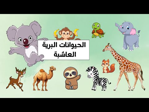 الحيوانات البري ة العاشبة حيوانات الغابة للأطفال      