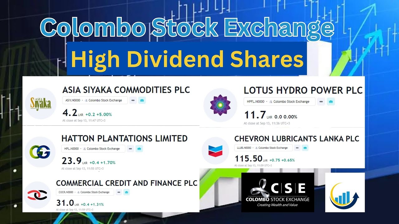 high-dividend-best-buy-stocks-in-share-market-sri-lanka-for-next-year