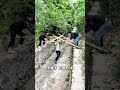 You Won’t Believe How They Built This Bridge 🤯