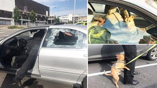 Two Dogs Trapped In A Sweltering Car – It’s Locked, So The Cops Execute Plan B