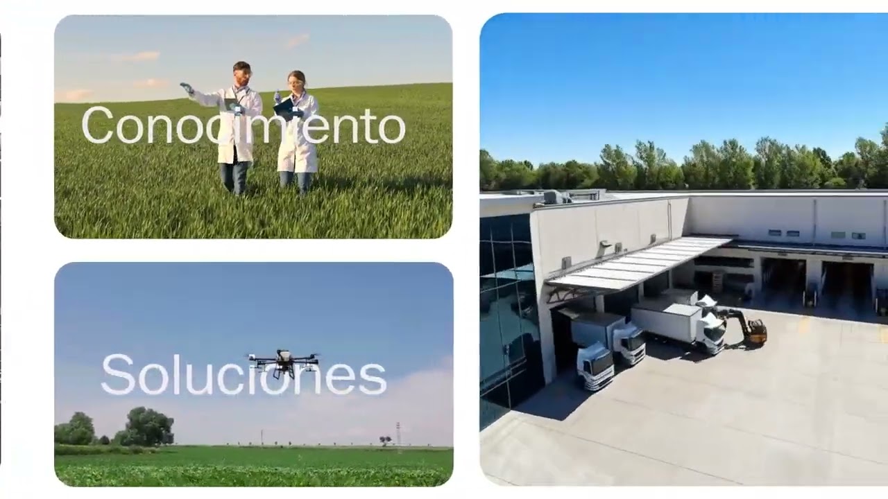 DELSO - Nutrimos el futuro - Vídeo corporativo [versión corta]