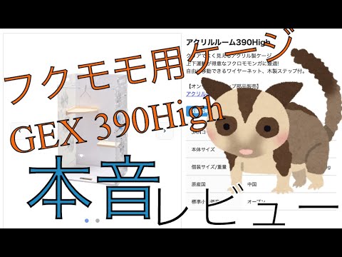 フクロモモンガ用アクリルケージ「アクリルルーム390High」レビューし