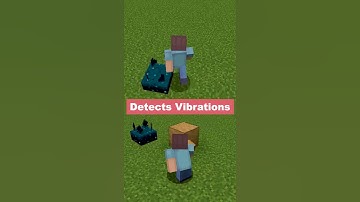 Sculk Sensors and how they work!