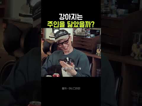 강아지는 주인을 닮았을까? ｜반려견, 반려동물, 허키시바세키, 웃긴영상｜삼성전자, 뉴스, 부동산