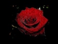 Youmna Mariam 