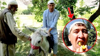 سفر به خوش آب و هوا ترین نقطه جاغوری ❤️