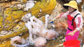 [ENG SUB] Xiao Zhang hit the beach  tons of octopus & lobster  huge conchs  endless seafood!