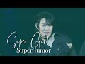 SUPER JUNIOR SUPER GIRL SS10 IN SEOUL DAY 3 250824