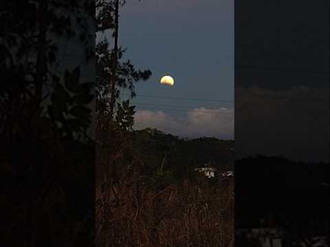 I Took a Video of the Total Lunar Eclipse of March 3, 2026 in Front of Our House in The Philippines