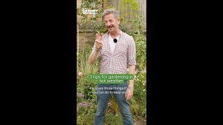 3 ways to help your garden in a heatwave