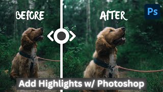 How To Add Highlights To Any Subject (Or Object) - Photoshop - Detailed Tutorial screenshot 3