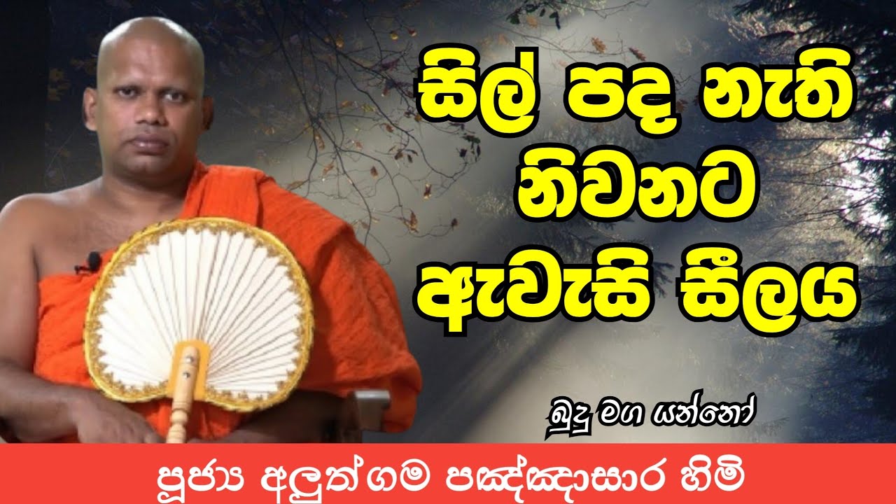 සිල් පද නැති නිවනට අවශ්‍ය සීලය | ven aluthgama pannasara thero #bana 17 June 2025