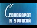 Севооборот