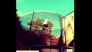 Summer 2k15 flips edit.
