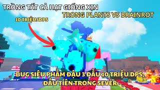 Mình Dùng Hết Nhân Phẩm Để Trồng Cây Và Bùng Nổ Siêu Phẩm 10 Triệu Dps Trong Plants Vs Brainrot