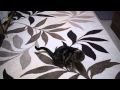 レーザーポインターで遊ぶ猫