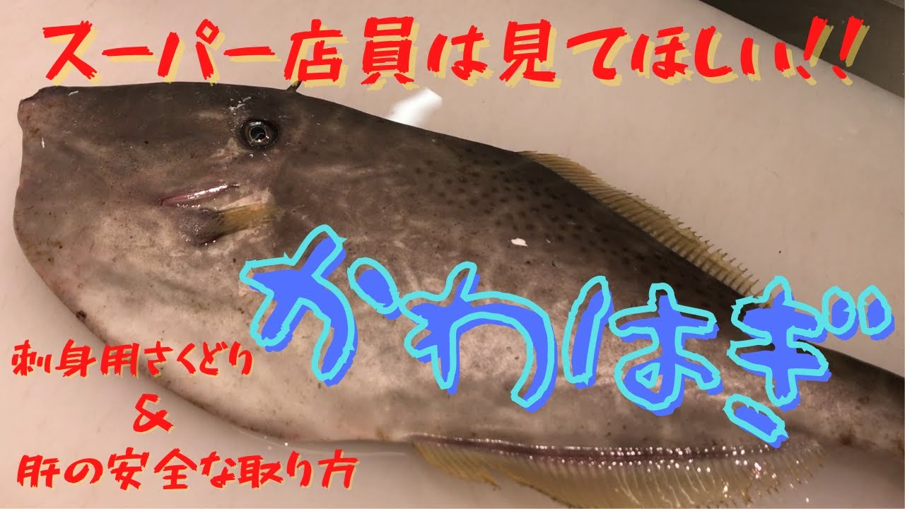 魚のおろし方 スーパー店員は見てほしい 刺身用かわはぎ捌き方 肝の安全な取出し方 Youtube