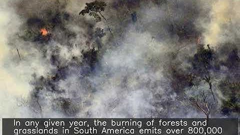 Study outlines how Amazon fires made Andean glaciers melt faster