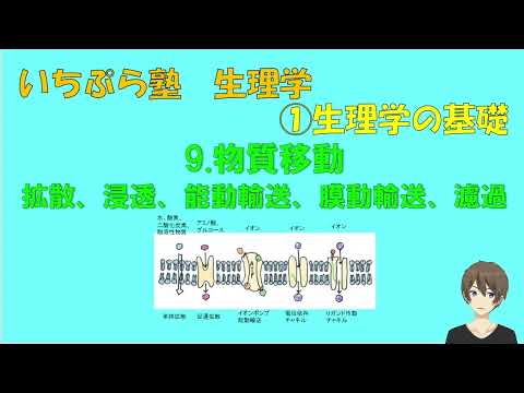 【いちぷら塾】生理学　① 生理学の基礎　9 物質移動　拡散、浸透、能動輸送、膜動輸送、濾過