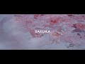 さくら / Sakura - by Geo Folk Tour
