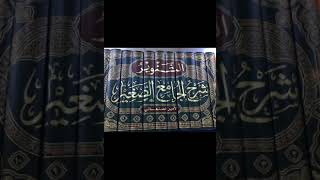 ‏التنوير شرح الجامع الصغير للعلامة السيوطي تأليف العلامة محمد بن إسماعيل الأمير الصنعاني ت١١٨٢ه