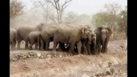 Ea Súp tình yêu và nỗi nhớ