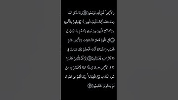 سورة الزمر بصوت القارئ ماهر المعيقلي #القرآن_الكريم #ارح_قلبك #صلوا_على_النبي