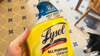 REVIEW of Lysol Lemon Breeze All-Purpose Cleaner