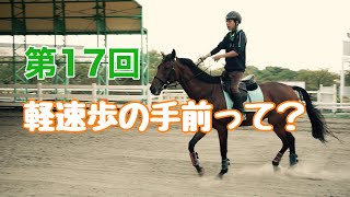 【動画でレッスン#17】軽速歩の手前って？｜神戸からすぐの乗馬クラブ明石乗馬協会