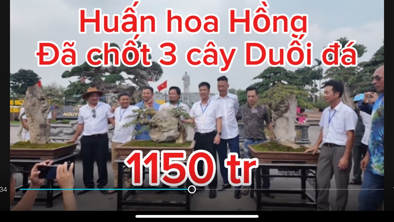 Huấn hoa Hồng chứng kiến vụ nổ 3 cây duối đá 1150 tr tại triển lãm duối Bắc Ninh năm 2025