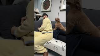 Neden çocuğuma dokunmuyorsun～🐶#SevimliHayvanlar #Köpekler #TuhafDavranışlar #EvcilHayvan #Ebeveynİçg