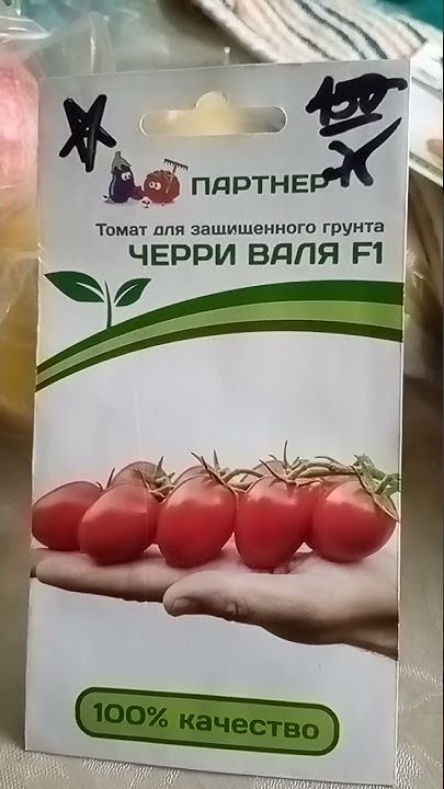Черри Валя 👍🍅 - YouTube