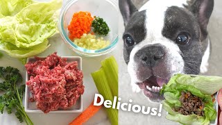 How To Make Lettuce Wraps With Beef Recipe | DELICIOUS Dog Treat