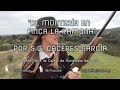 “DE MONTERÍA EN LA FINCA LA RAMONA POR S.C CÁCERES GARCÍA“ 2 de Novimbre del 2018