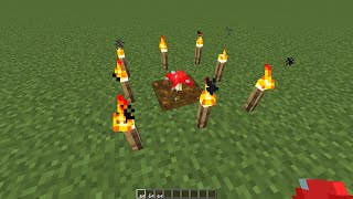 how to grow mushrooms in a bright place screenshot 4