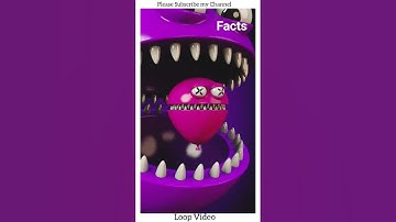 Loop Video #loops #looping #loopkit