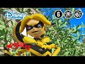 Miraculous  la reine banane  disney channel be